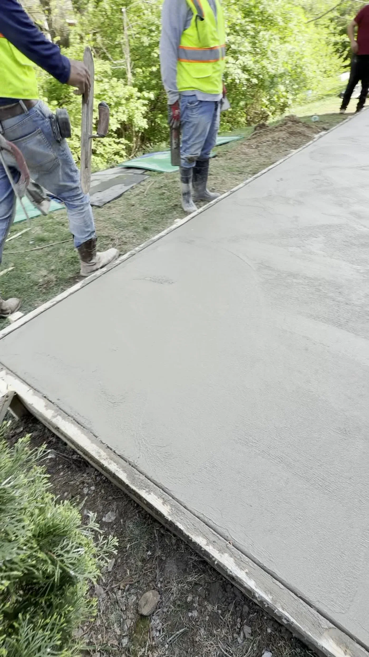 Pumas Concrete Decorative Concrete project