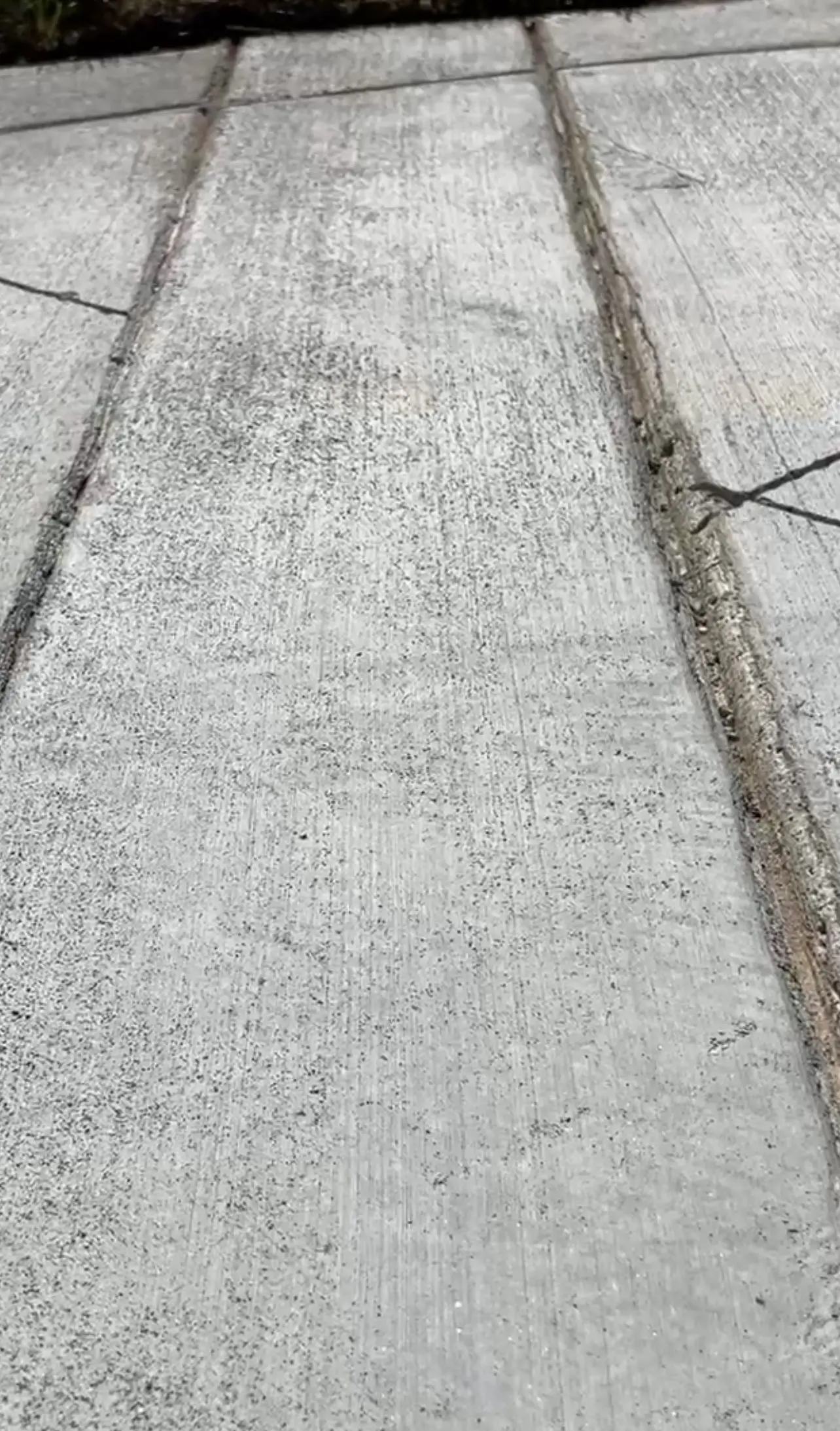 Pumas Concrete hardscape project in Nashville, TN